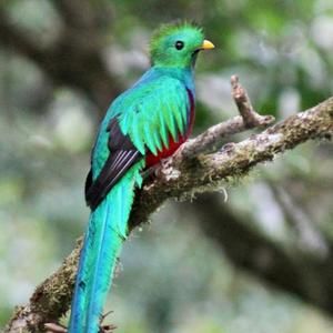 Meet your Posher, Jesse